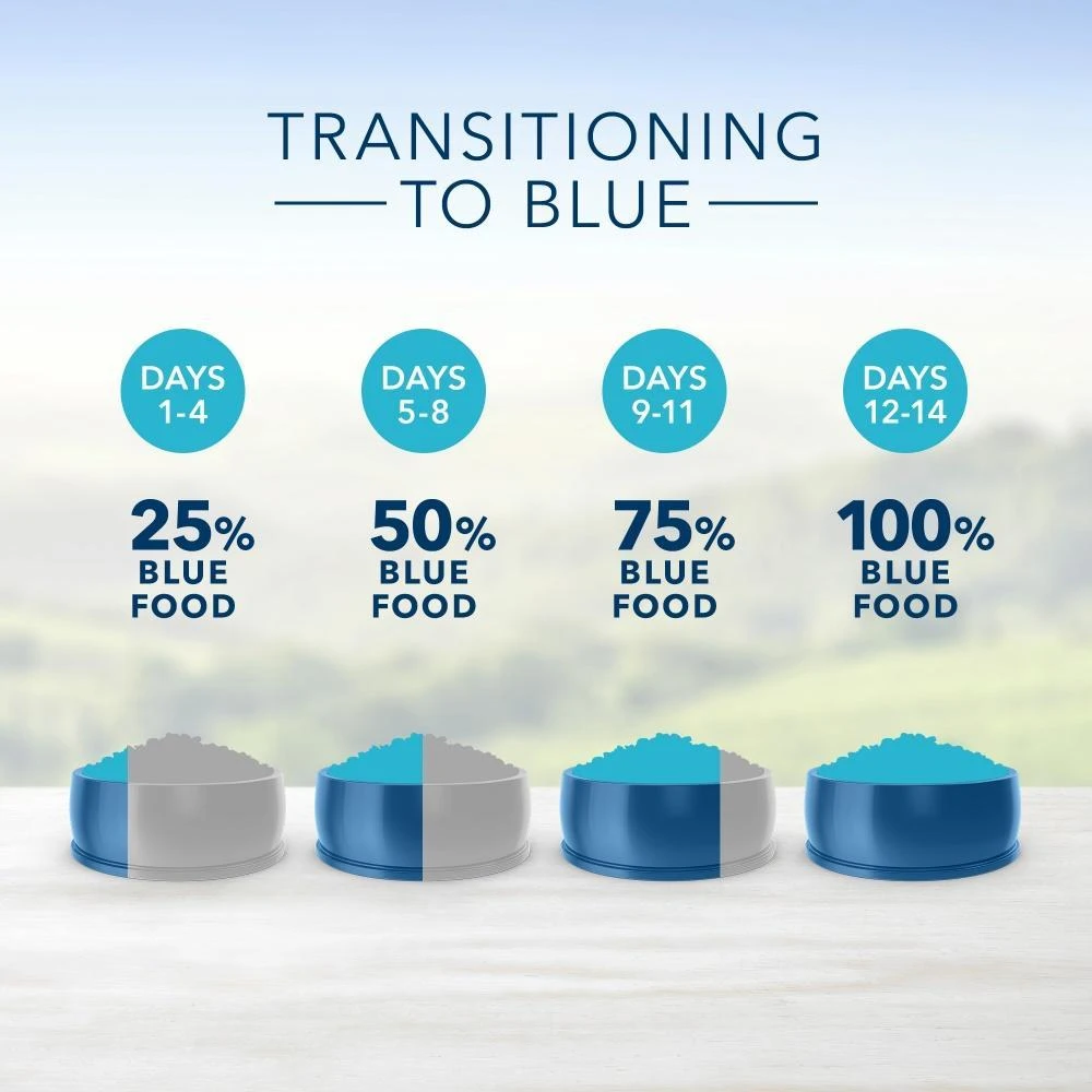 Blue Buffalo Life Protection Natural Chicken & Brown Rice Recipe Senior Dry Dog Food - Image 6