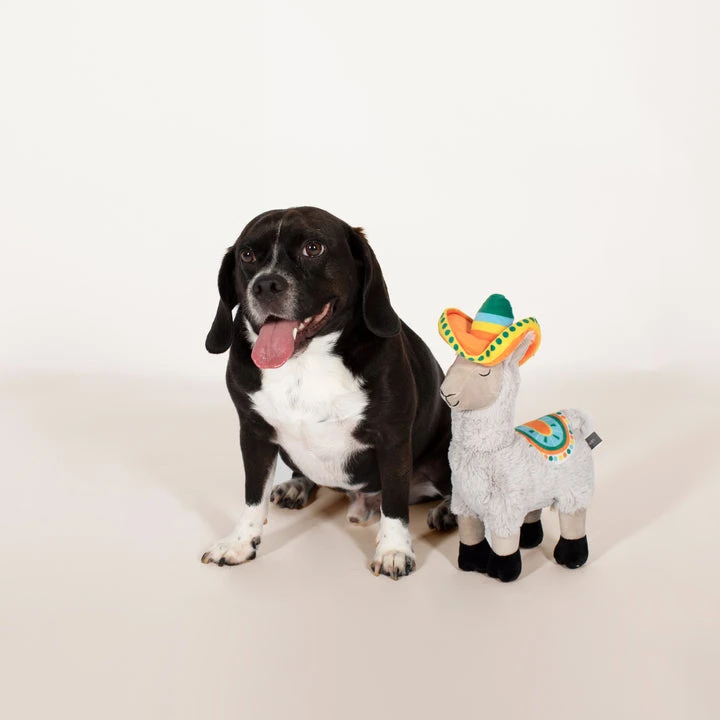 PetShop Nacho Fiesta Llama Dog Toy - Image 2