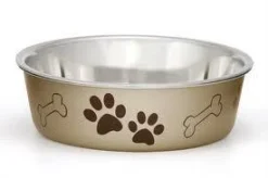 Loving Pets Champage Bella Bowl