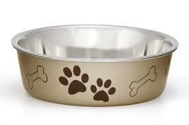 Loving Pets Champage Bella Bowl
