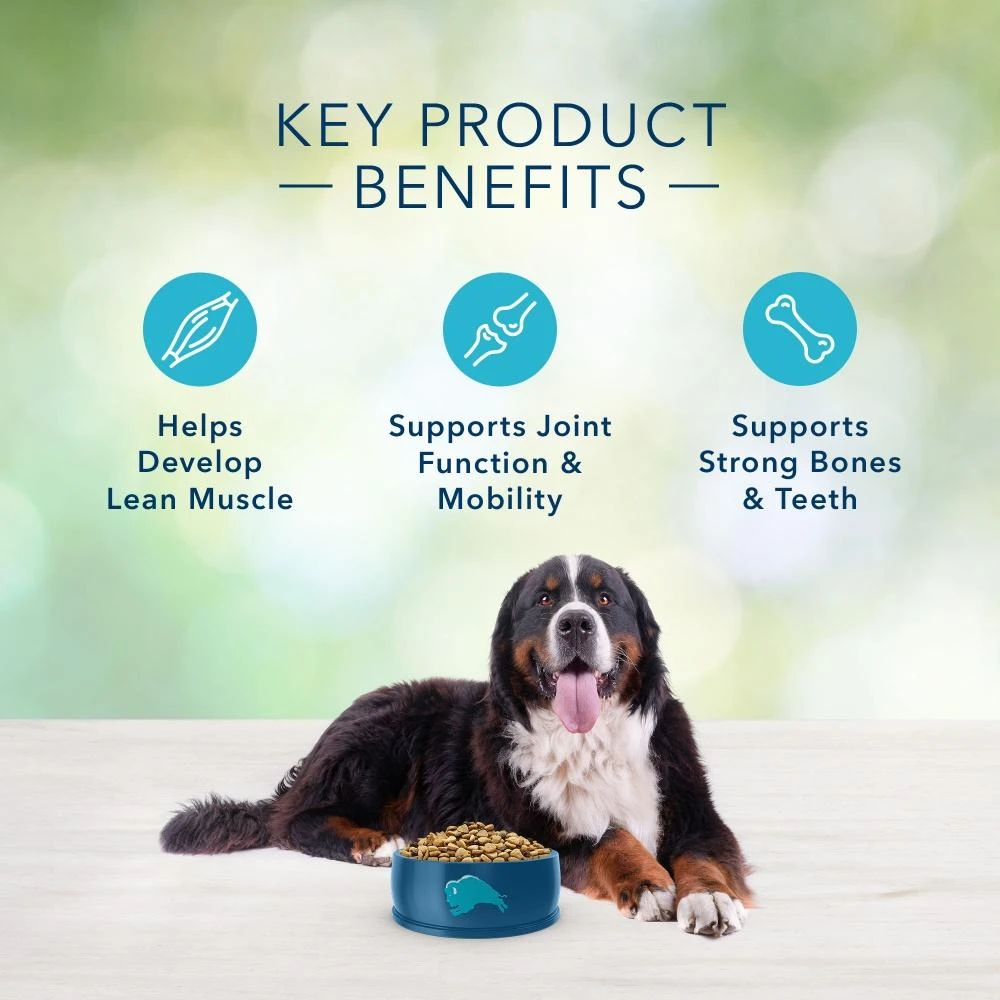 Blue Buffalo Freedom Grain Free Chicken Recipe Large Breed Adult Dry Dog Food - Image 5