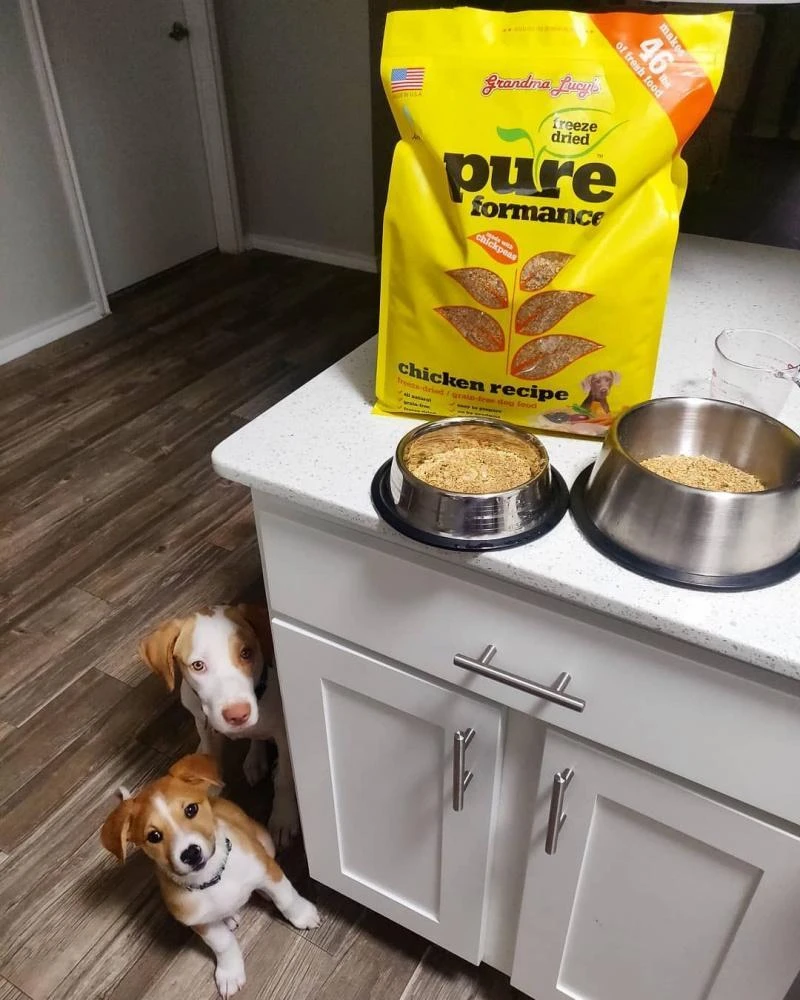 Grandma Lucy's Pureformance Chicken And Chickpea Freeze Dried Grain Free Dog Food - Image 5