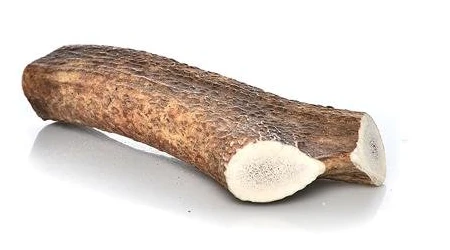 Happy Dog Of Cape Cod Premium All Natural Whole Elk Antler Dog Chews - Image 3