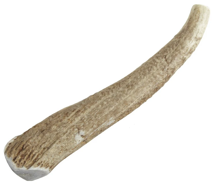 Happy Dog Of Cape Cod Premium All Natural Whole Elk Antler Dog Chews - Image 2