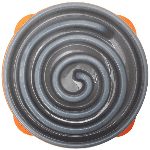Outward Hound Dog Games Slo Bowl Slow Feeders Coral Design Dog Bowl - Image 2