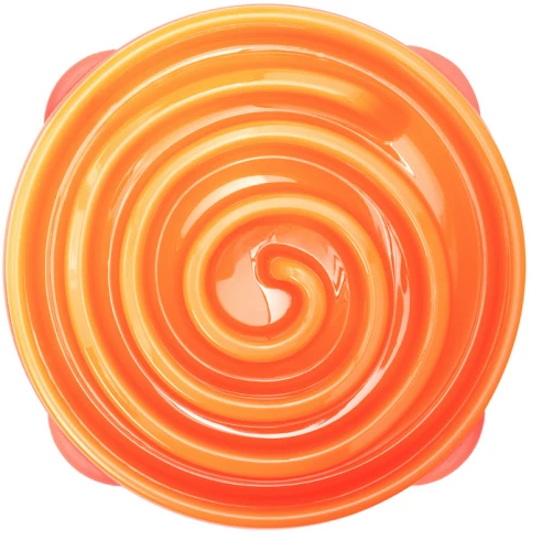 Outward Hound Dog Games Slo Bowl Slow Feeders Coral Design Dog Bowl - Image 4