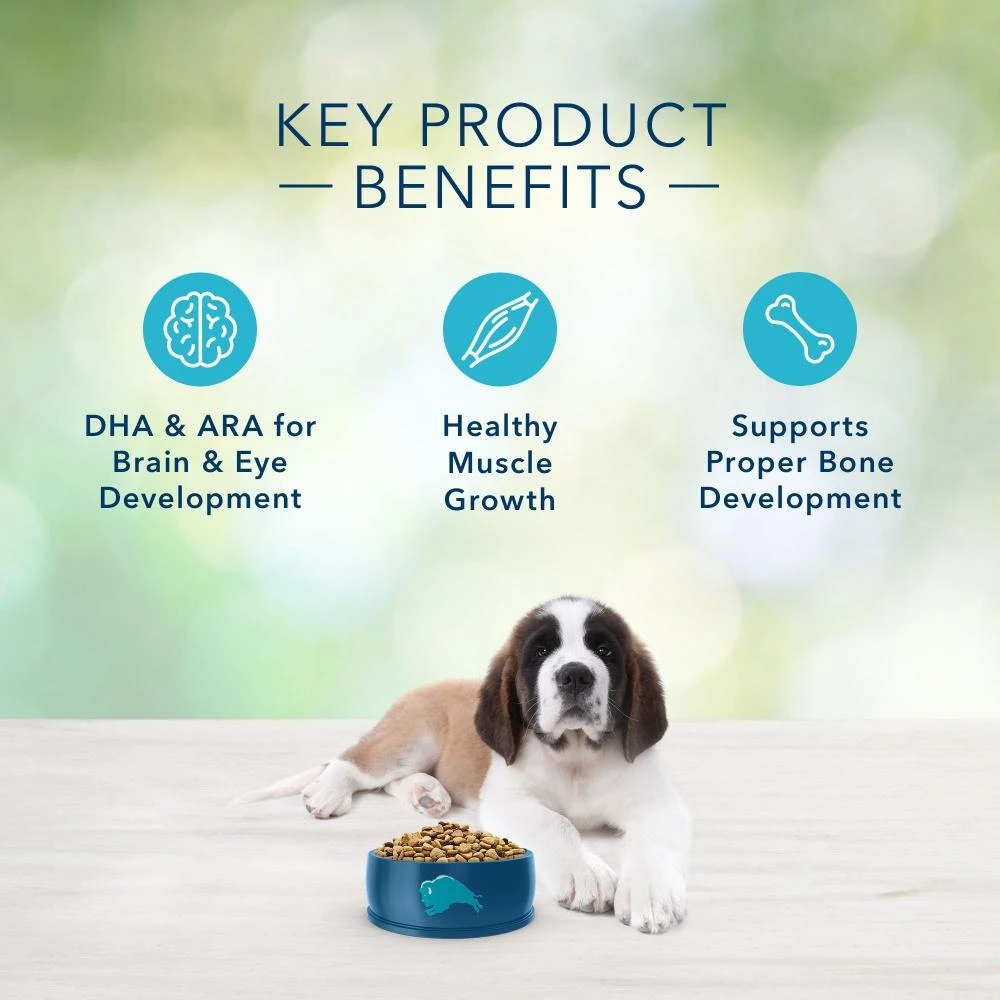 Blue Buffalo Freedom Large Breed Puppy Chicken Recipe Dry Dog Food - Image 5