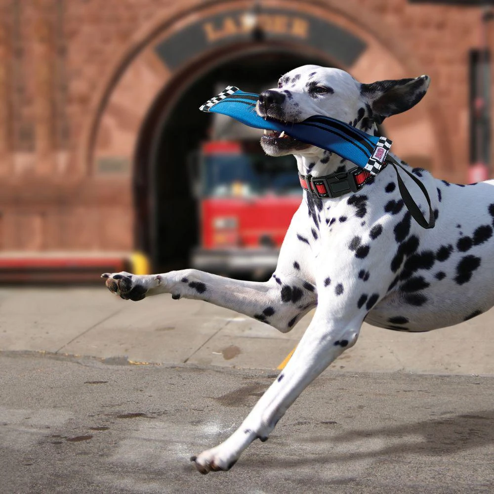 KONG Fire Hose Ballistic Sqwuggie Dog Toy - Image 2