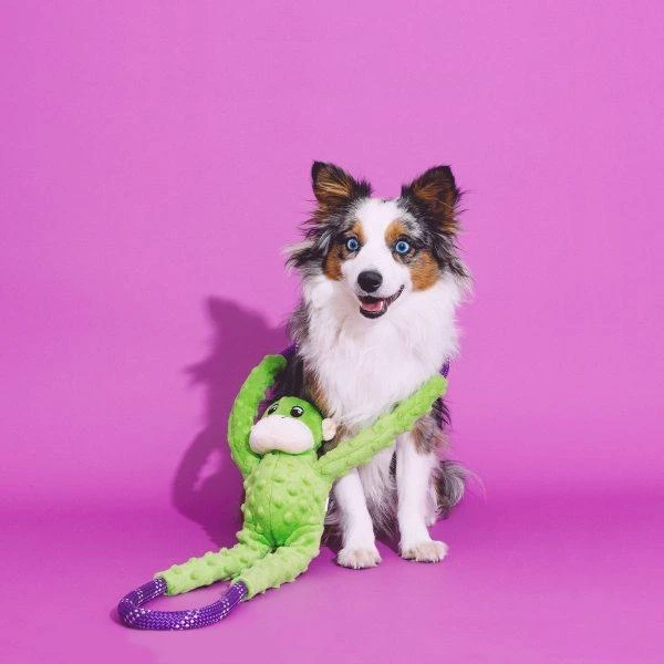 ZippyPaws Monkey RopeTugz Plush Dog Toy - Image 7