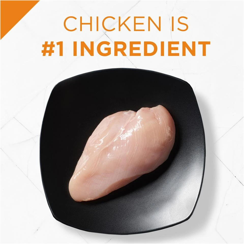 Purina Pro Plan Savor Shredded Blend Chicken & Rice Formula Adult Small & Toy Breed Dry Dog Food - Image 5