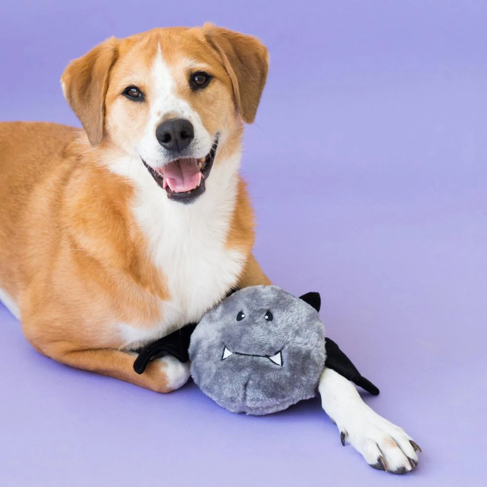 ZippyPaws Halloween Brainey Bat Plush Dog Toy - Image 4