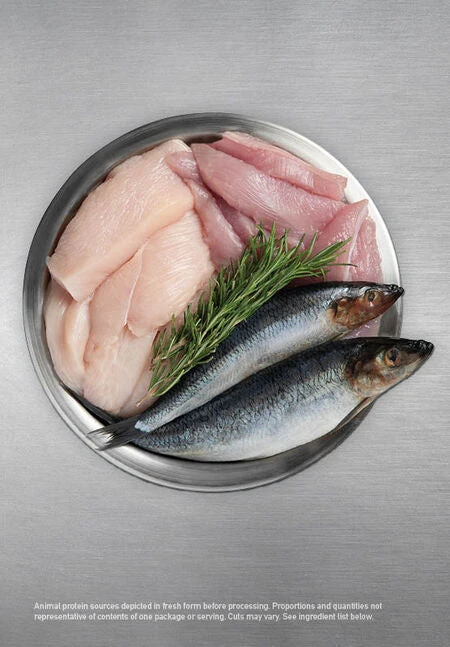 ORIJEN High Protein Dog Biscuits Original BISCUITS & CRUNCHY TREATS - Image 4