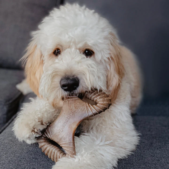 Benebone Peanut Butter Dental Chew - Image 6