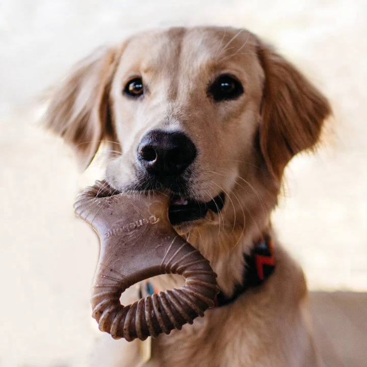 Benebone Peanut Butter Dental Chew - Image 4