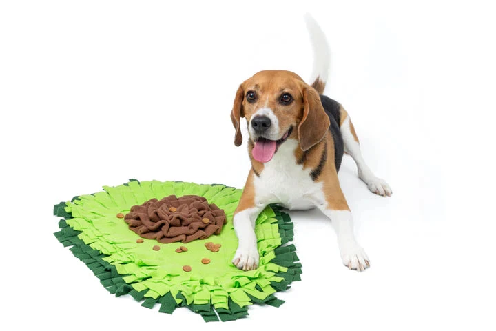 Injoya Avocado Snuffle Mat For Dog - Image 3