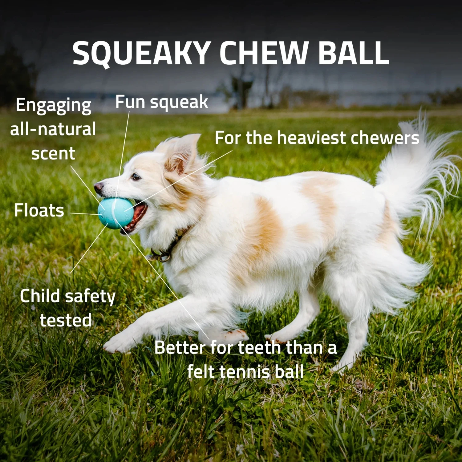 Playology Squeaky Chew Ball Chicken Scent - Image 12