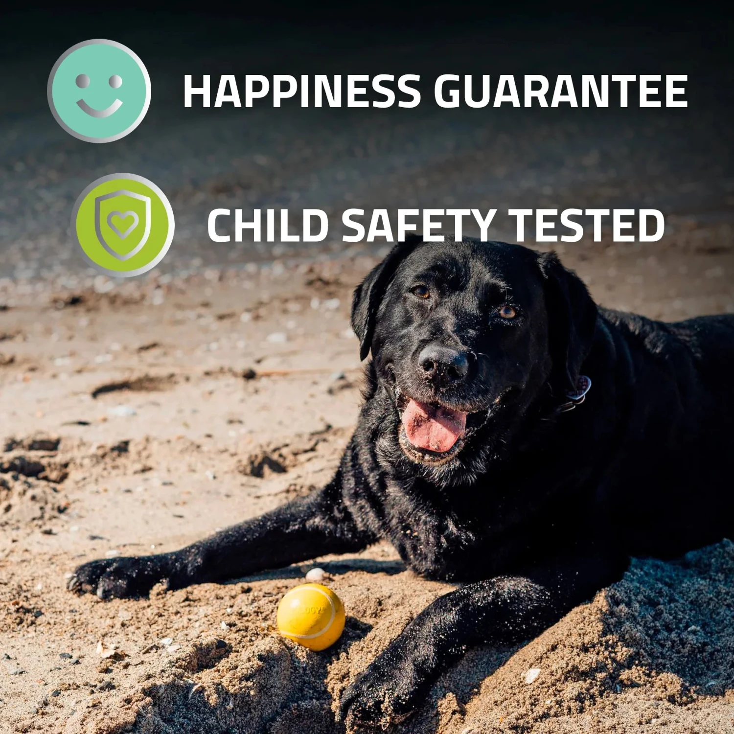 Playology Squeaky Chew Ball Chicken Scent - Image 10