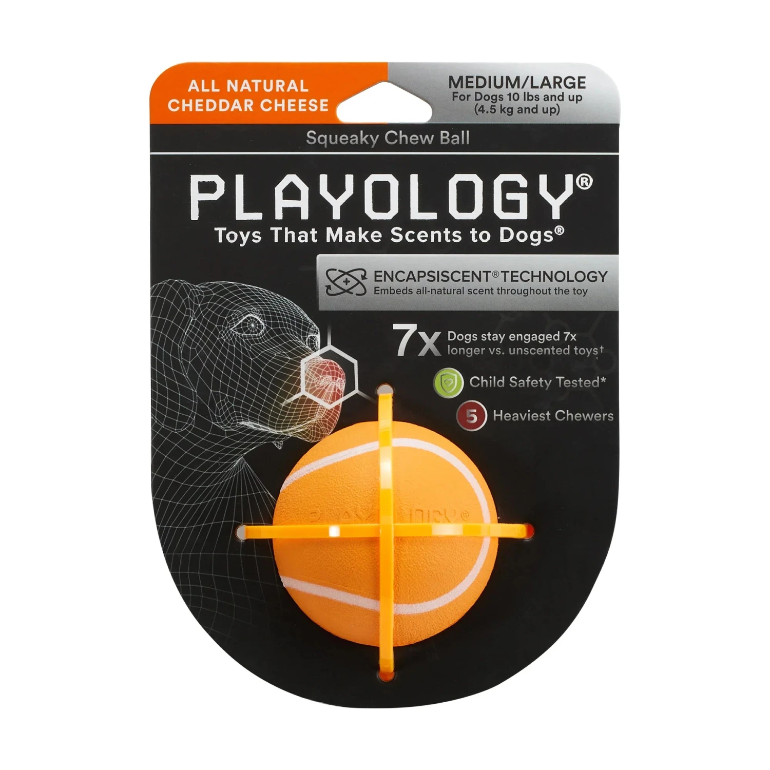 Playology Squeaky Chew Ball Chicken Scent - Image 3