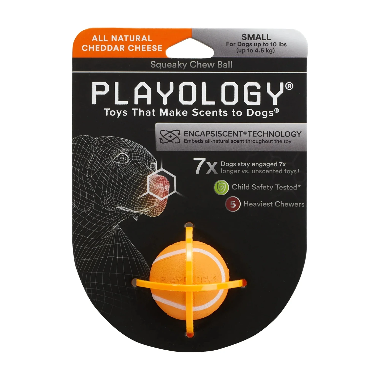Playology Squeaky Chew Ball Chicken Scent - Image 8