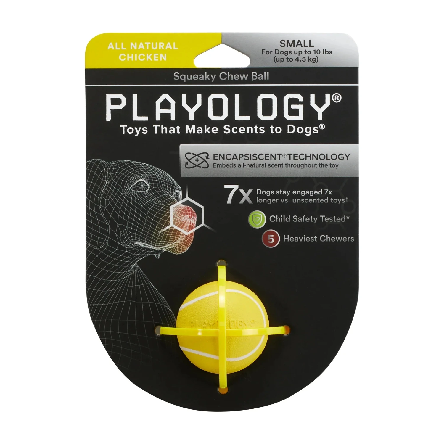 Playology Squeaky Chew Ball Chicken Scent - Image 7