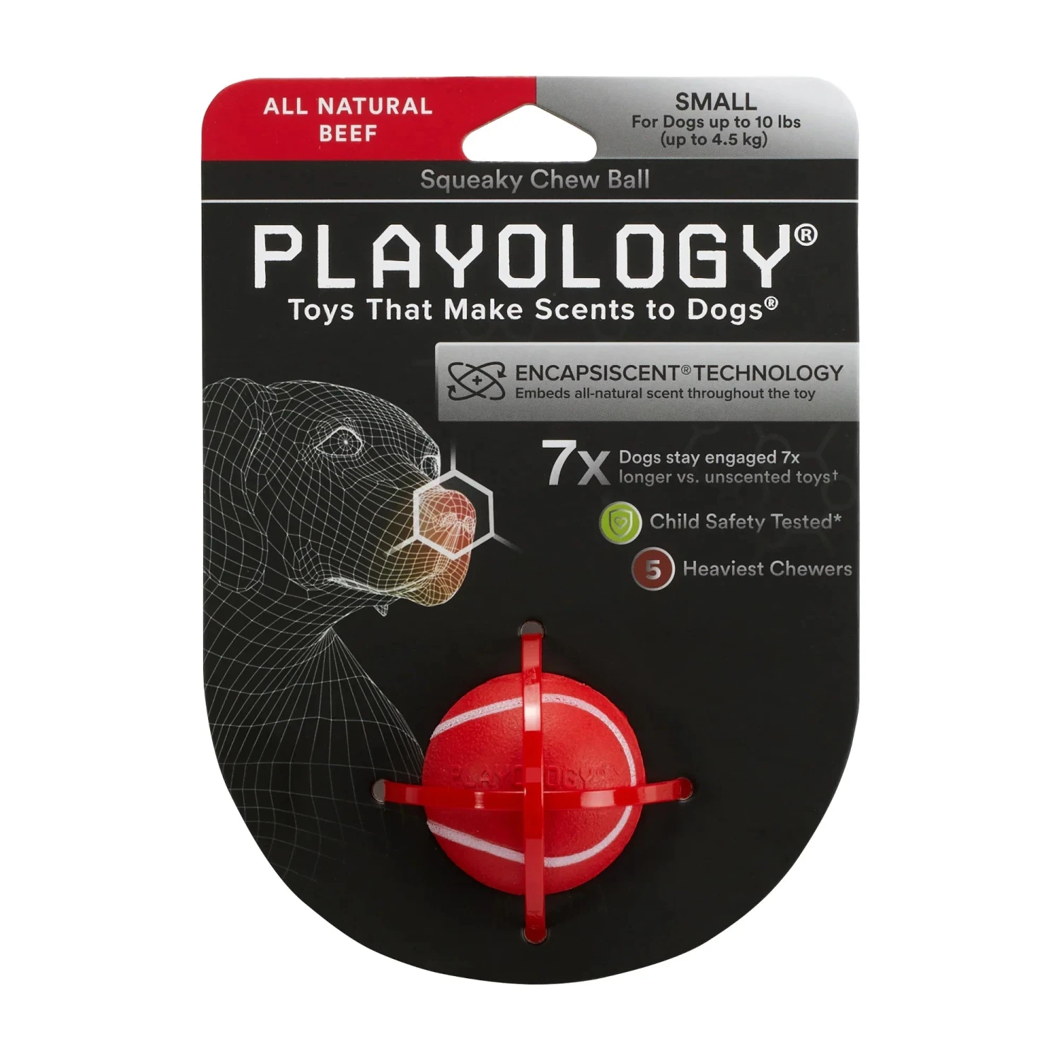Playology Squeaky Chew Ball Chicken Scent - Image 9