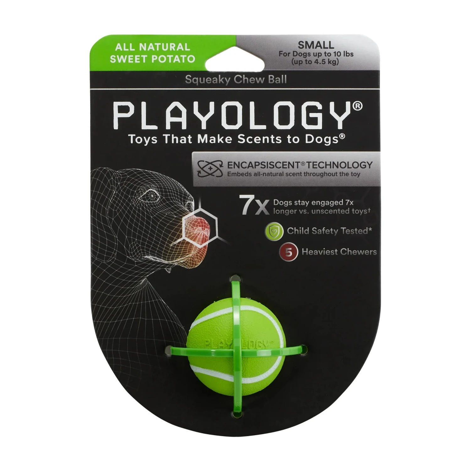 Playology Squeaky Chew Ball Chicken Scent - Image 5