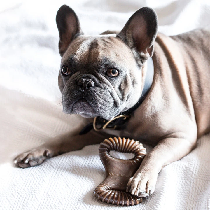 Benebone Peanut Butter Dental Chew - Image 3