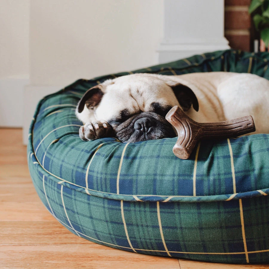 Benebone Maplestick - Image 3