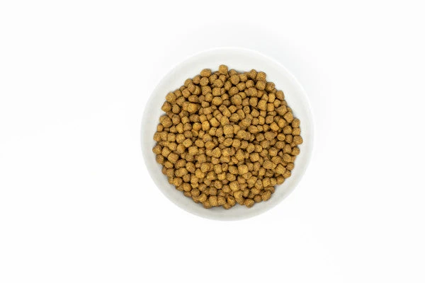 Stella & Chewy's Stella's Essentials Cage-Free Chicken & Ancient Grains For Small Breed Dogs Dry Dog Food - Image 4